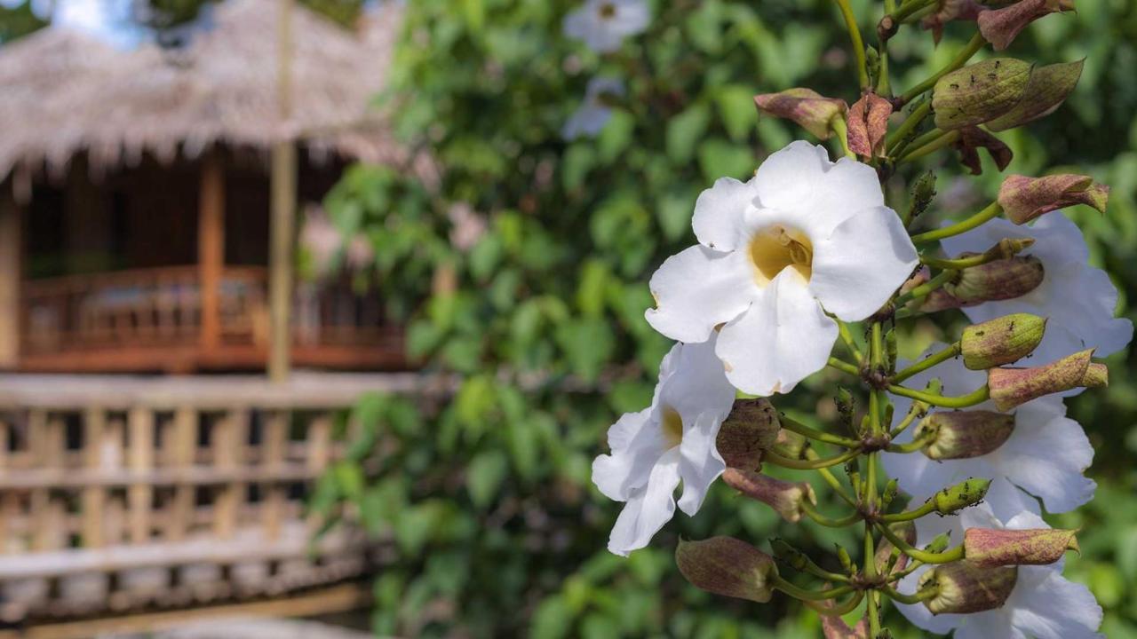 Onong'S Homestay & Cafe Tomohon Екстер'єр фото